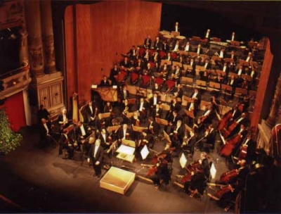Das Orchester des Theaters Altenburg-Gera im Landestheater Altenburg